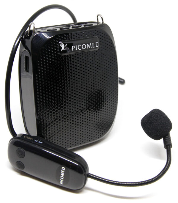 Pico Voicebox 10